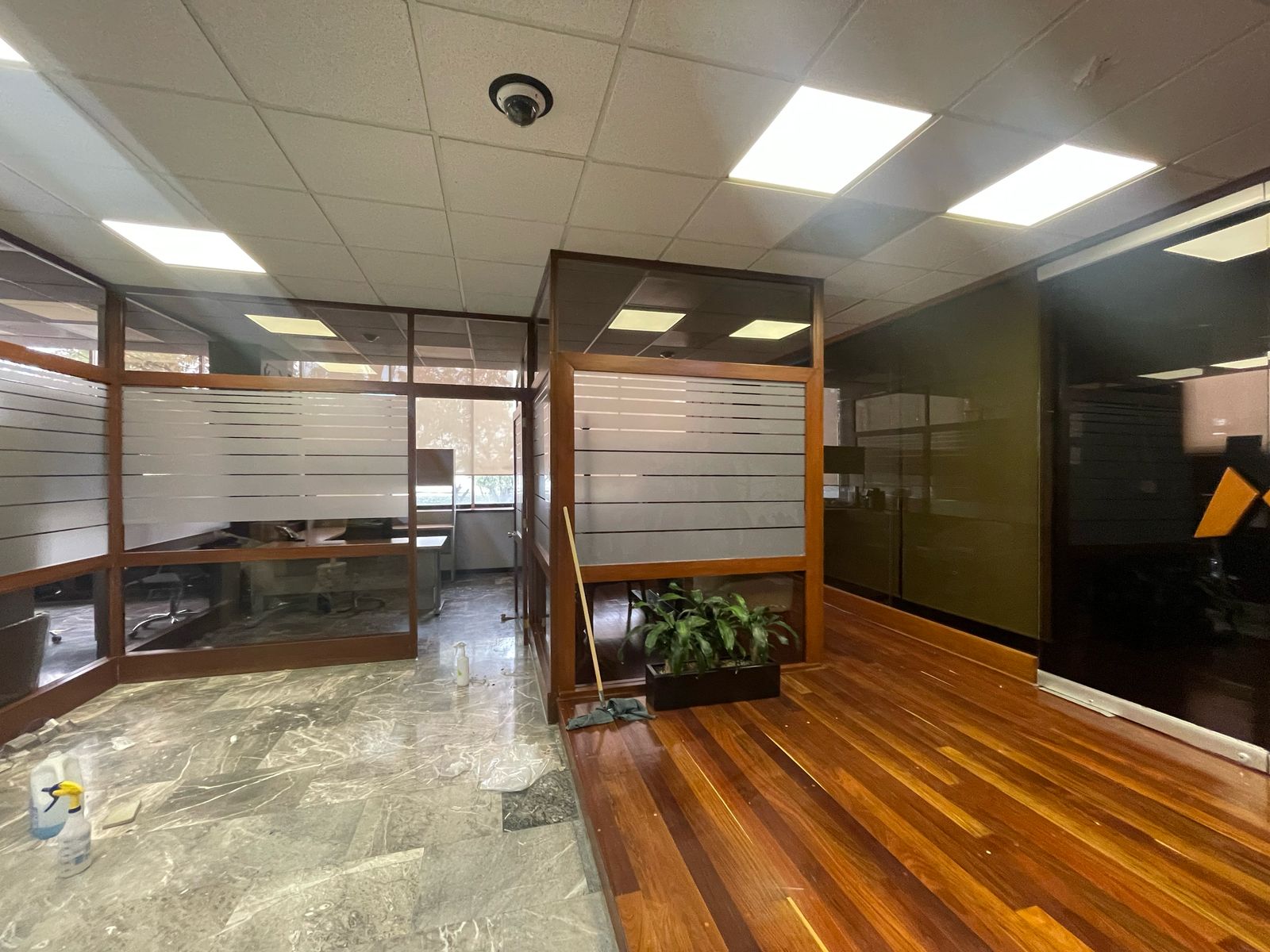 Sistemas Decorativos